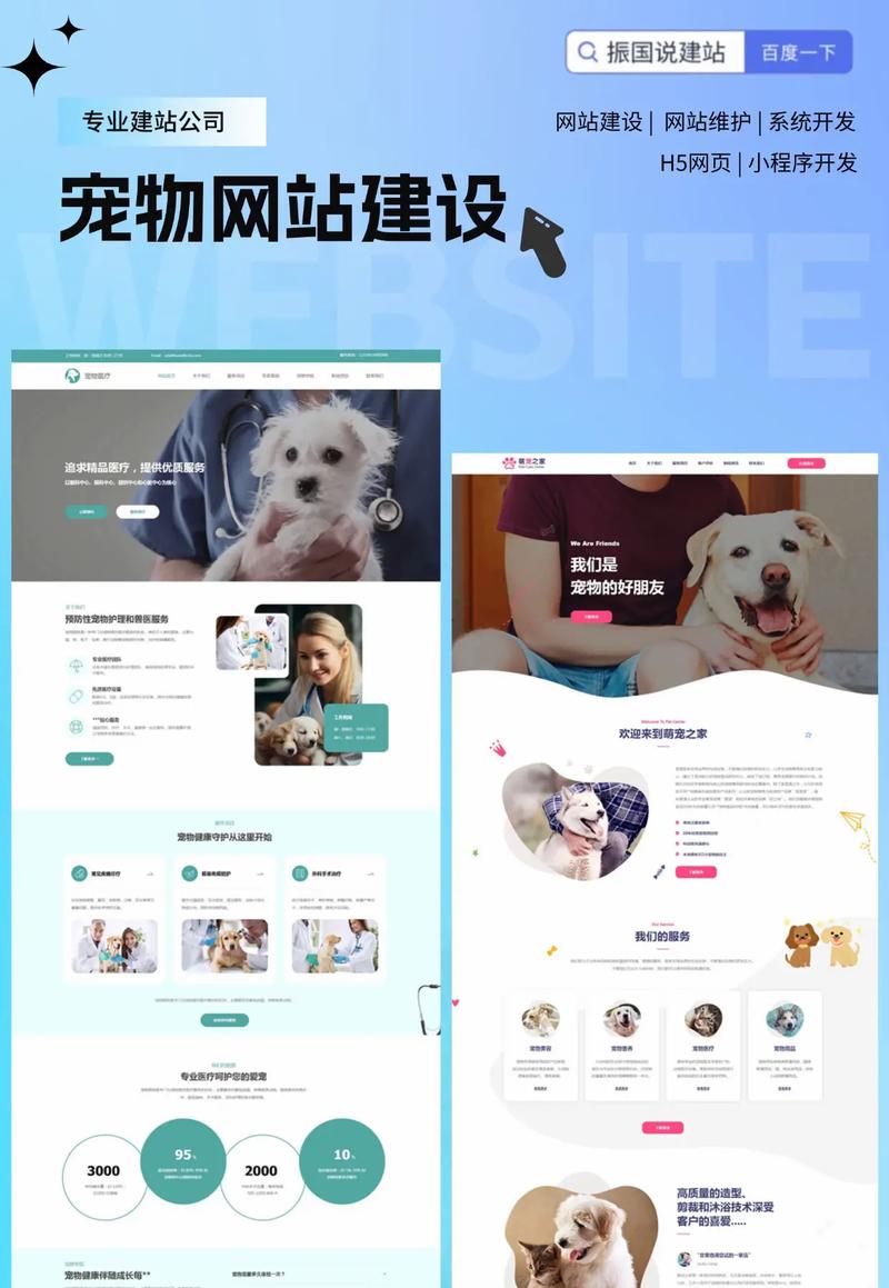 宠物网站建设 设计与实现全流程指南